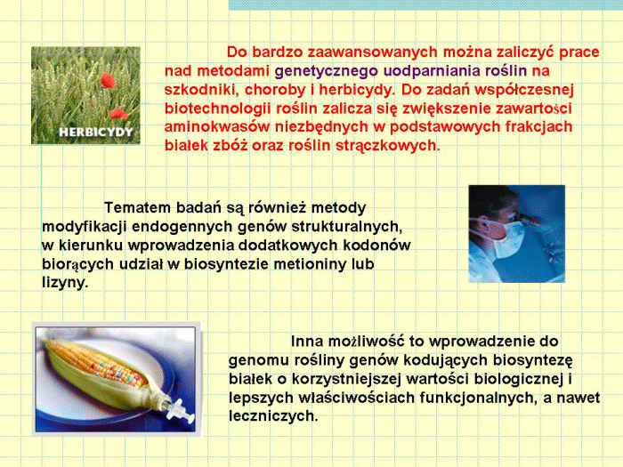 Slajd prezentacji