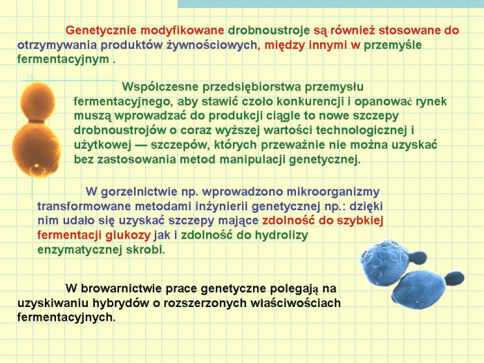 Slajd prezentacji
