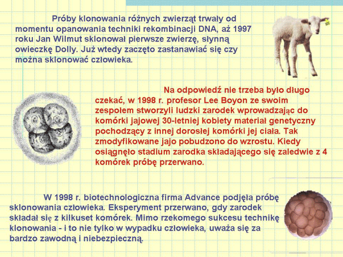 Slajd prezentacji