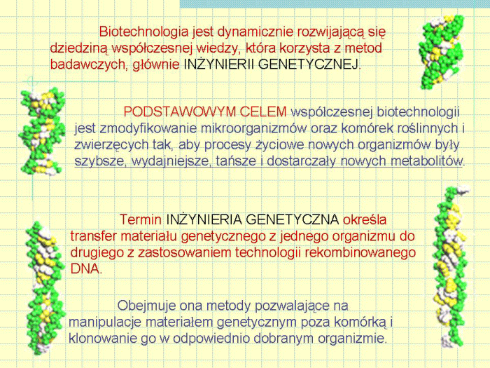 Slajd prezentacji