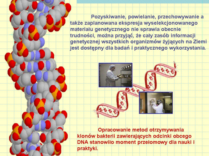 Slajd prezentacji