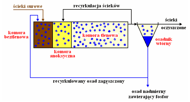 rys5