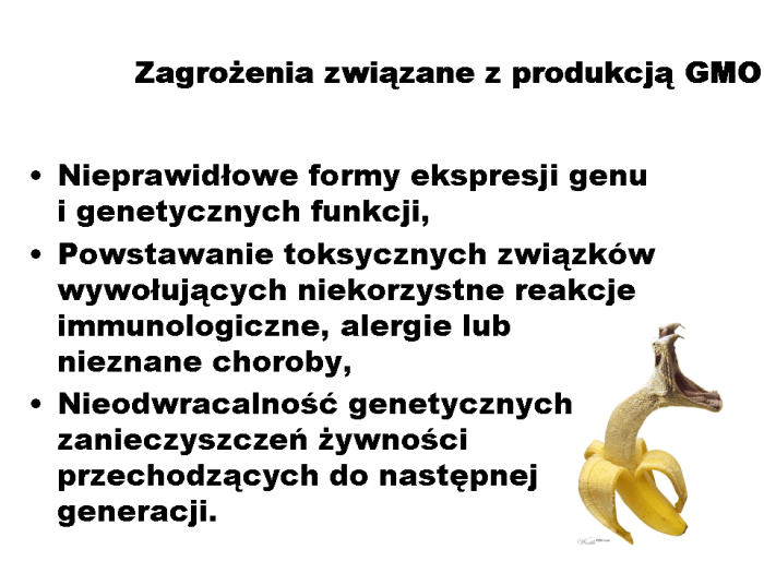 Slajd prezentacji