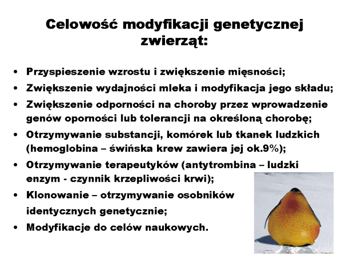 Slajd prezentacji