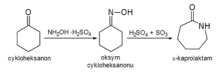 rys6